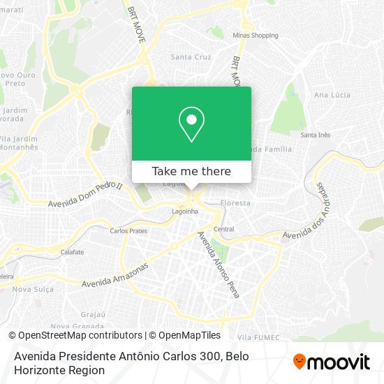 Avenida Presidente Antônio Carlos 300 map