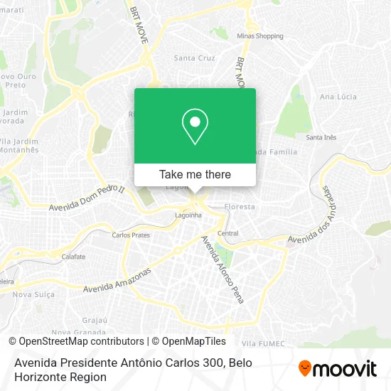Avenida Presidente Antônio Carlos 300 map
