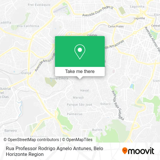 Rua Professor Rodrigo Agnelo Antunes map