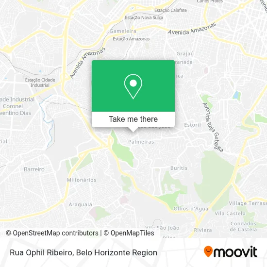 Rua Ophil Ribeiro map
