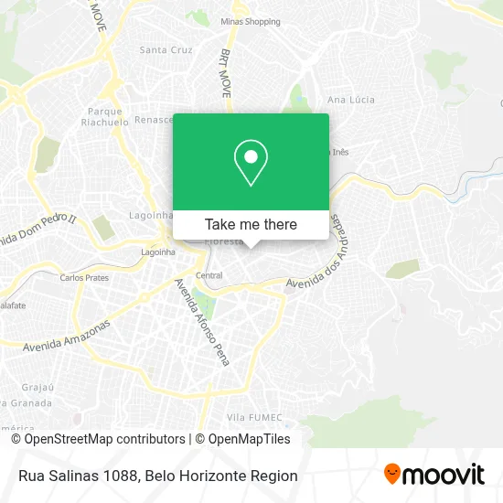 Rua Salinas 1088 map