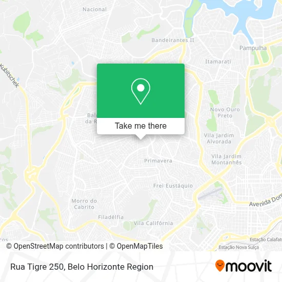 Rua Tigre 250 map