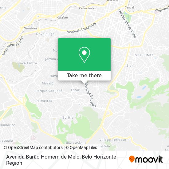 Avenida Barão Homem de Melo map