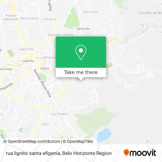 rua lignito santa efigenia map