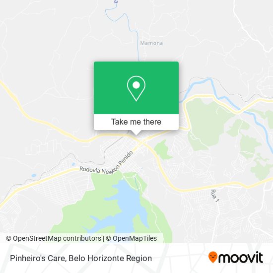 Pinheiro's Care map