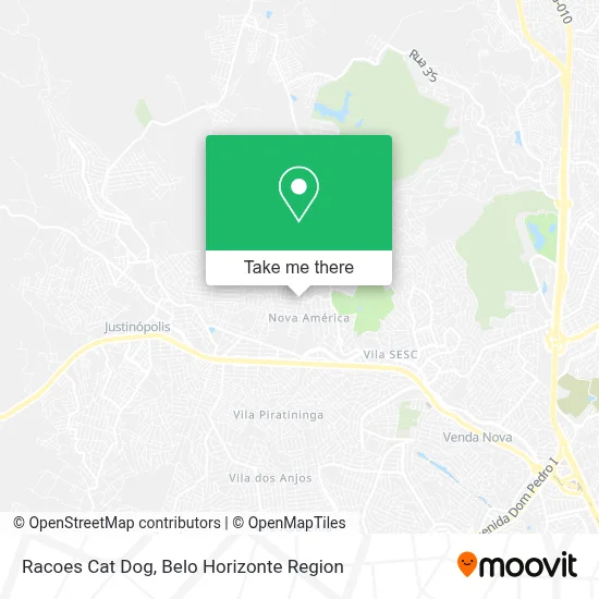 Racoes Cat Dog map