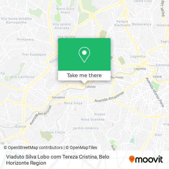 Viaduto Silva Lobo com Tereza Cristina map