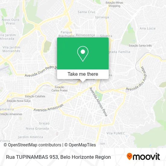 Rua TUPINAMBAS 953 map