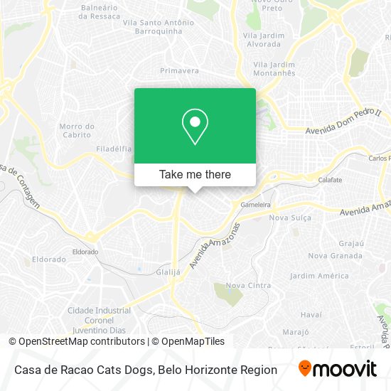 Casa de Racao Cats Dogs map