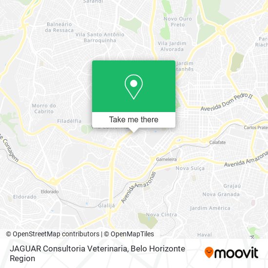 JAGUAR Consultoria Veterinaria map