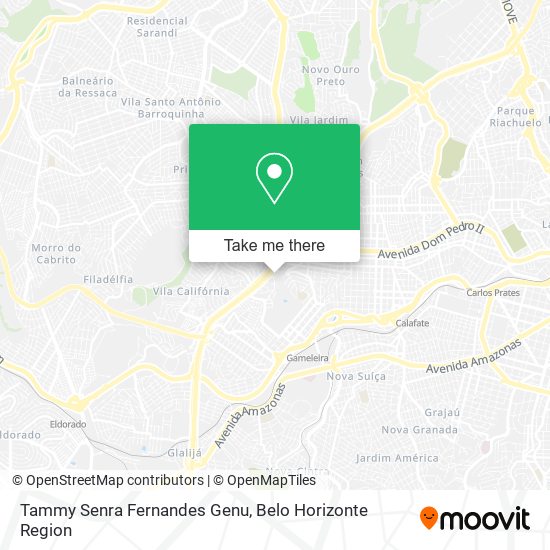 Tammy Senra Fernandes Genu map