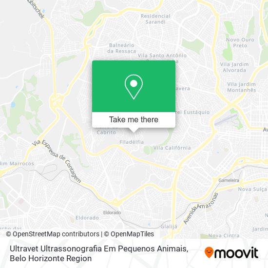 Ultravet Ultrassonografia Em Pequenos Animais map