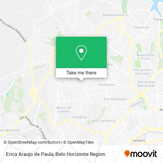 Erica Araujo de Paula map