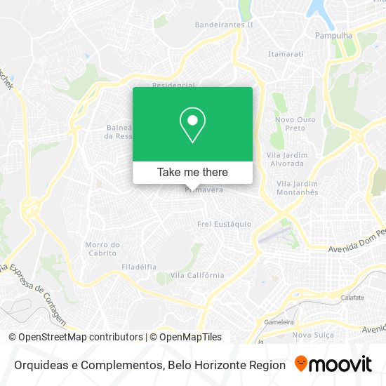 Orquideas e Complementos map