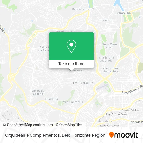 Orquideas e Complementos map