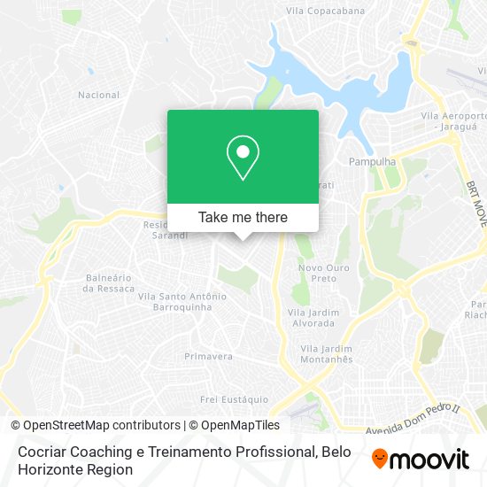 Cocriar Coaching e Treinamento Profissional map