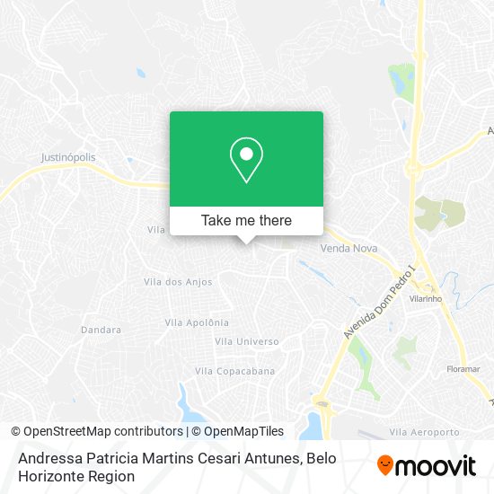 Andressa Patricia Martins Cesari Antunes map