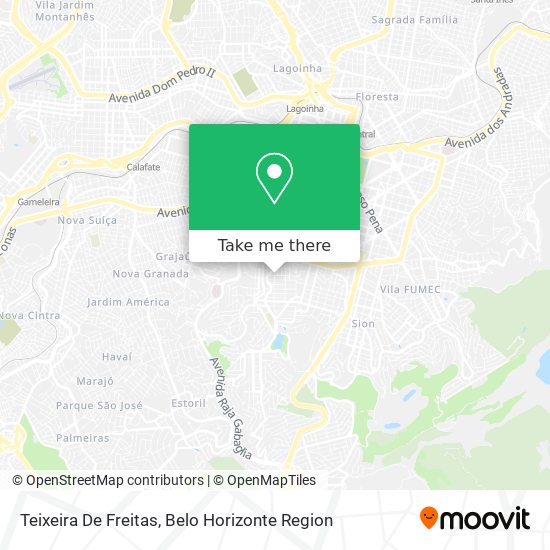 Teixeira De Freitas map