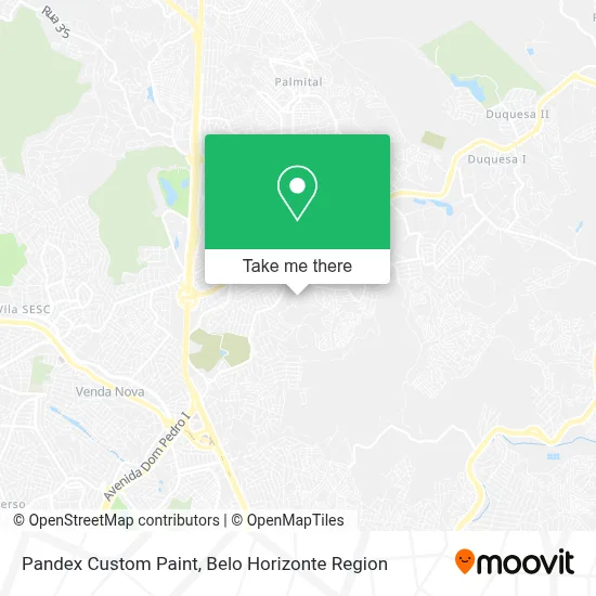 Pandex Custom Paint map