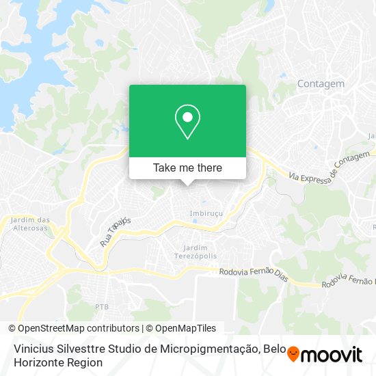 Vinicius Silvesttre Studio de Micropigmentação map