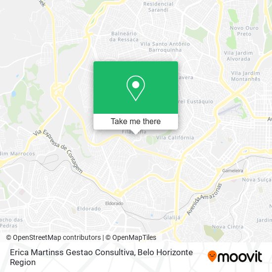 Erica Martinss Gestao Consultiva map