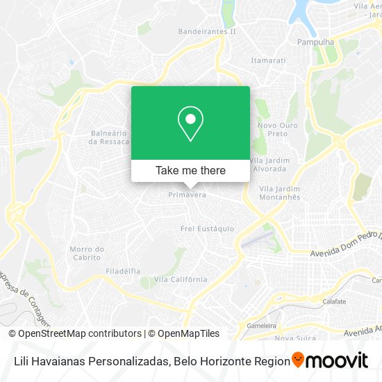 Lili Havaianas Personalizadas map