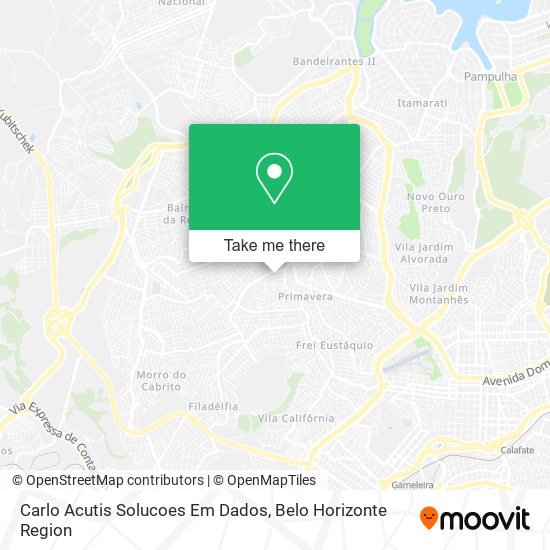 Carlo Acutis Solucoes Em Dados map
