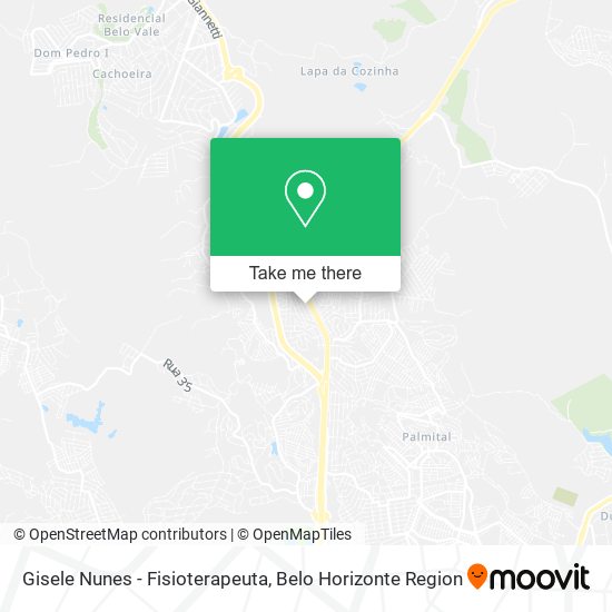 Gisele Nunes - Fisioterapeuta map