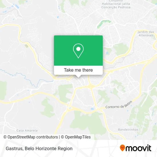 Gastrus map