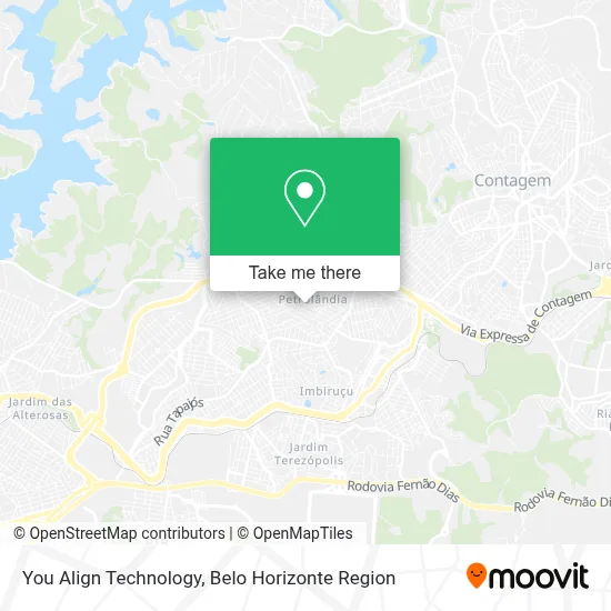 You Align Technology map