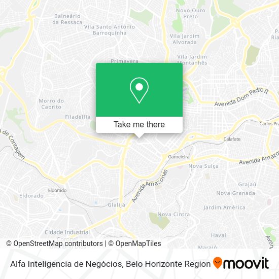 Alfa Inteligencia de Negócios map