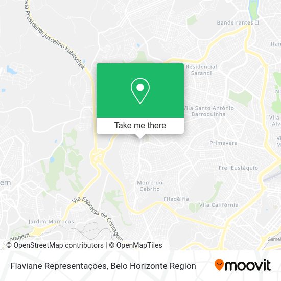 Flaviane Representações map