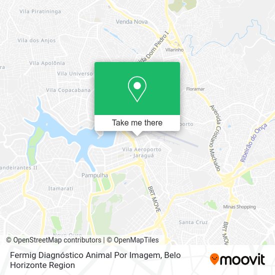 Fermig Diagnóstico Animal Por Imagem map