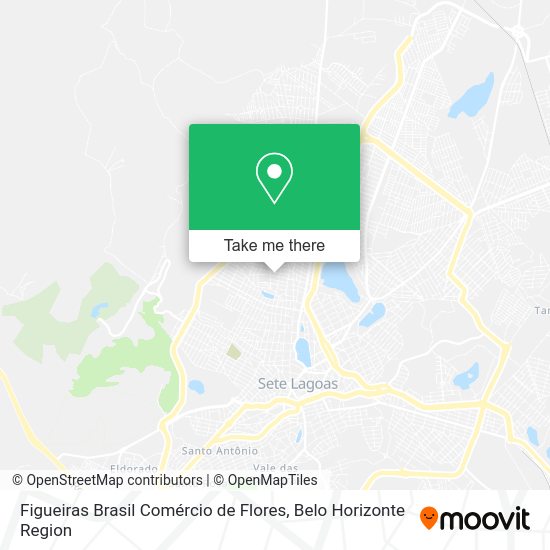 Figueiras Brasil Comércio de Flores map