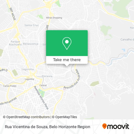 Rua Vicentina de Souza map