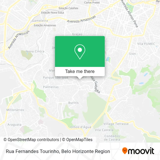 Rua Fernandes Tourinho map