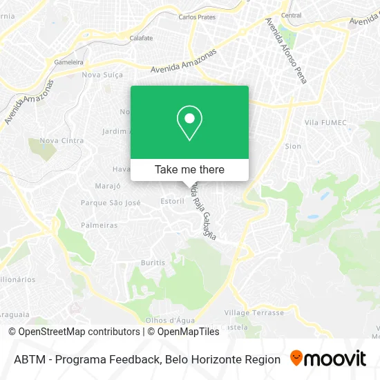 ABTM - Programa Feedback map