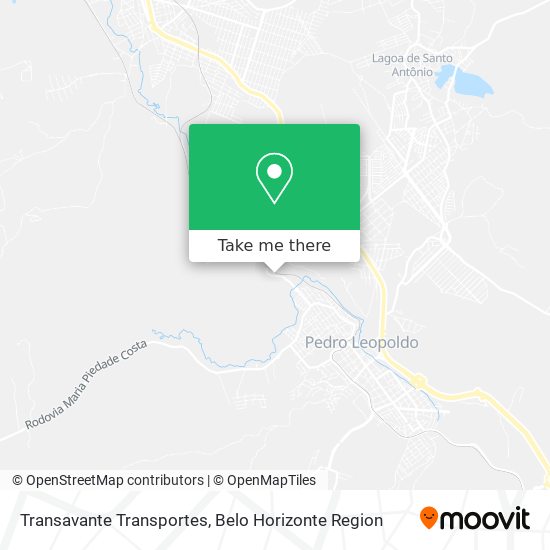 Transavante Transportes map
