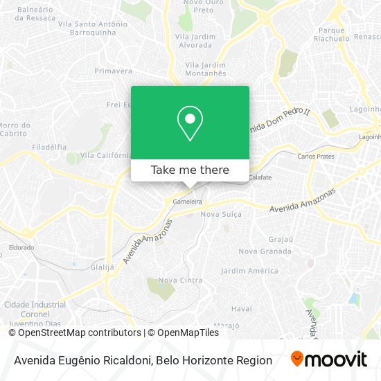 Mapa Avenida Eugênio Ricaldoni