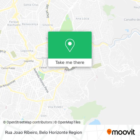 Mapa Rua Joao Ribeiro