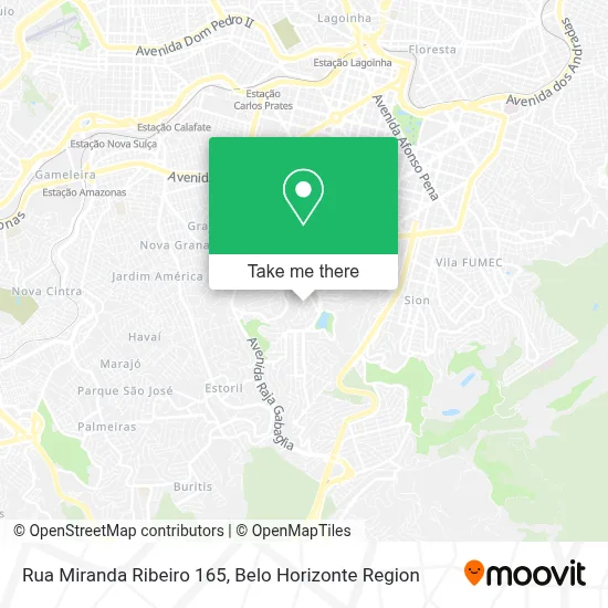 Rua Miranda Ribeiro 165 map