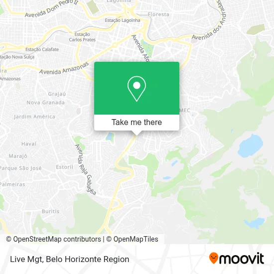 Live Mgt map