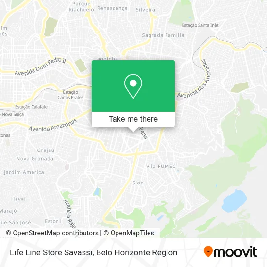 Life Line Store Savassi map