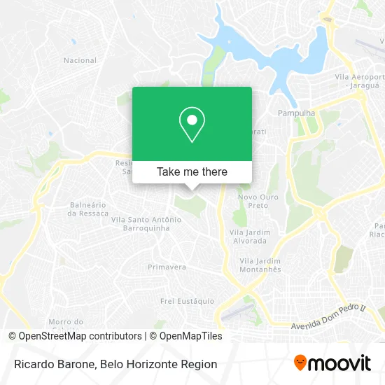 Ricardo Barone map