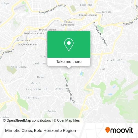 Mimetic Class map