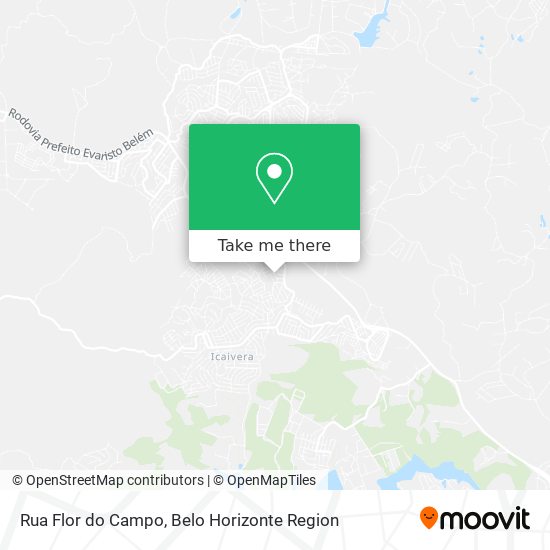 Rua Flor do Campo map