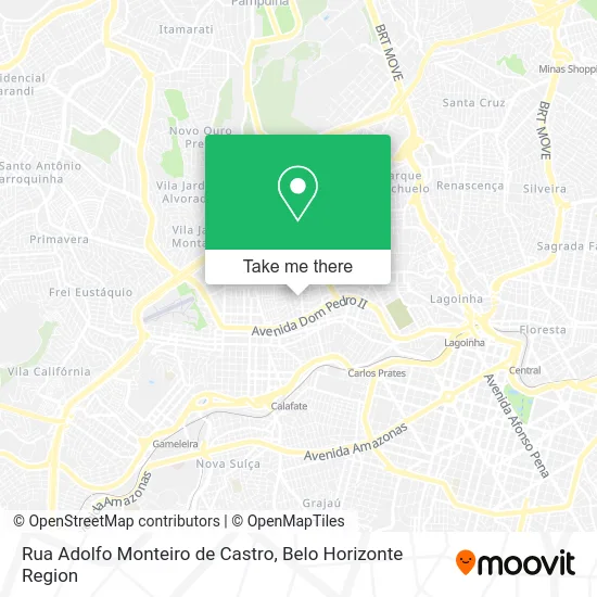 Rua Adolfo Monteiro de Castro map