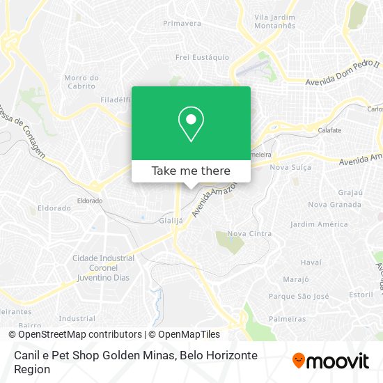 Canil e Pet Shop Golden Minas map