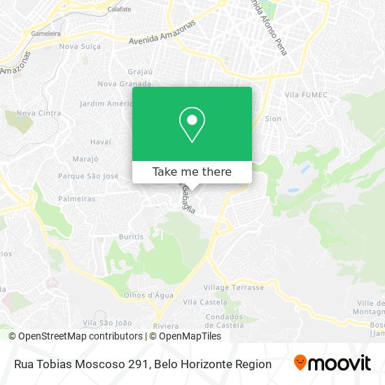 Mapa Rua Tobias Moscoso 291