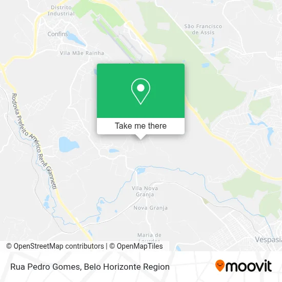 Rua Pedro Gomes map